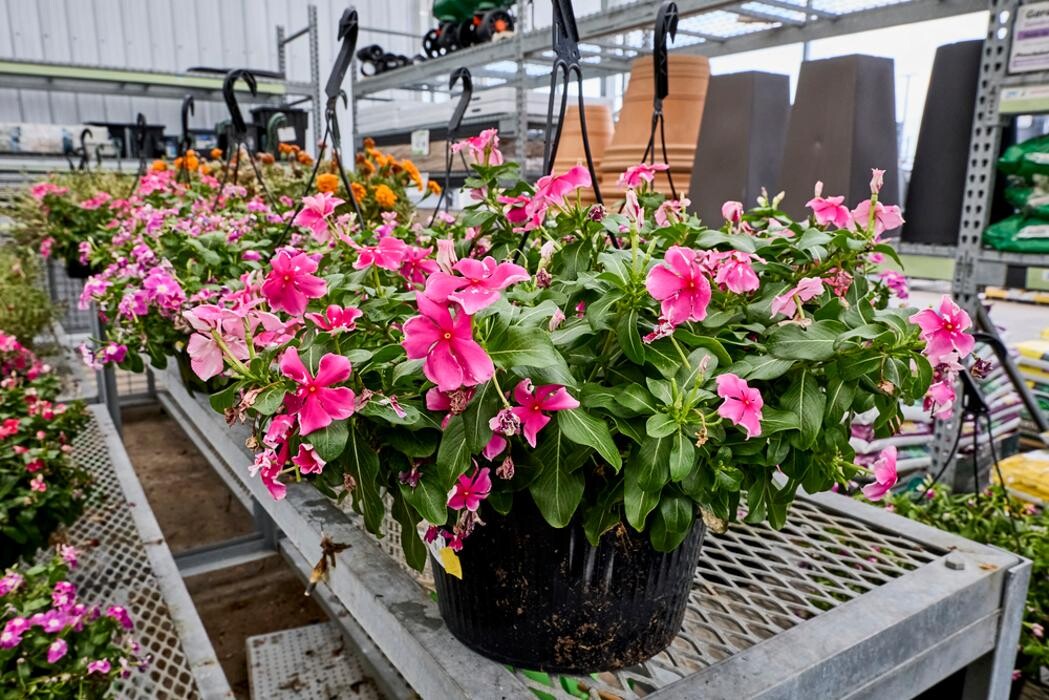 Images Tractor Supply Co.