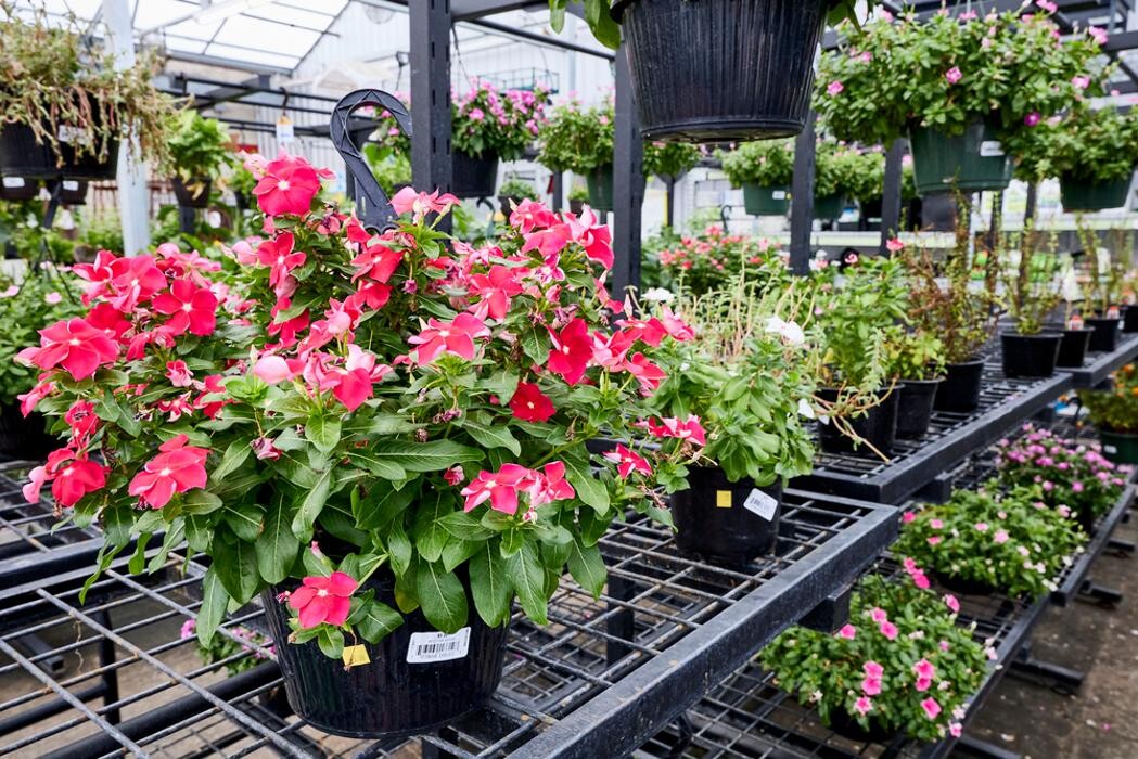 Images Tractor Supply Co.