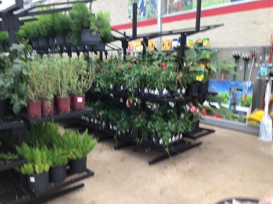 Images Tractor Supply Co.