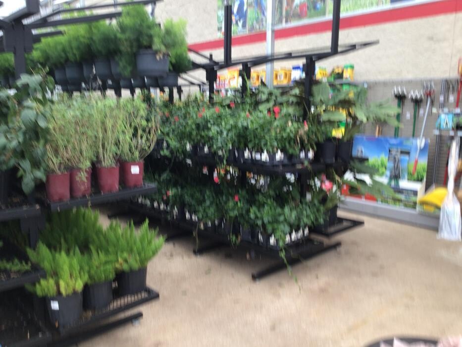 Images Tractor Supply Co.
