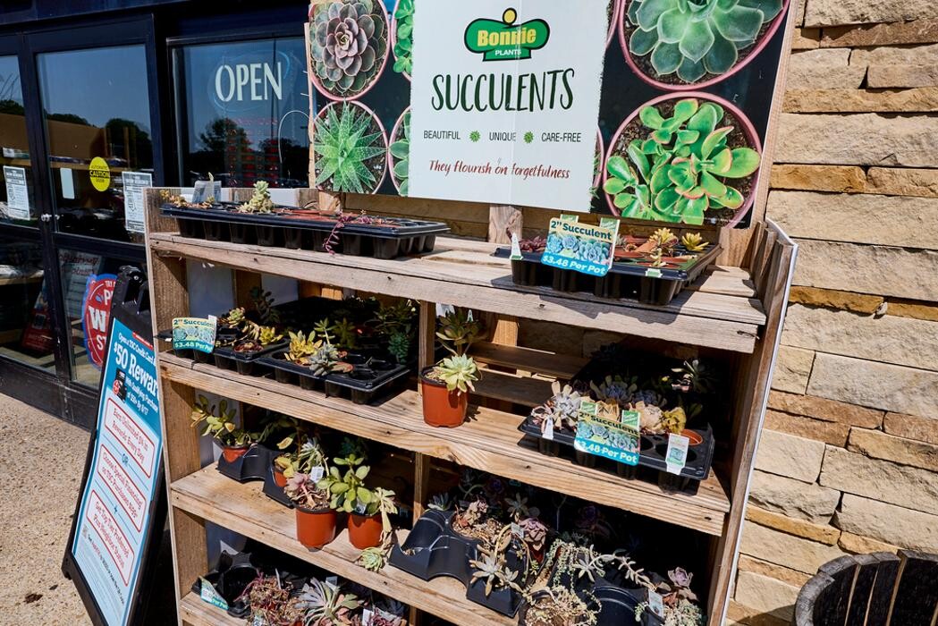 Images Tractor Supply Co.