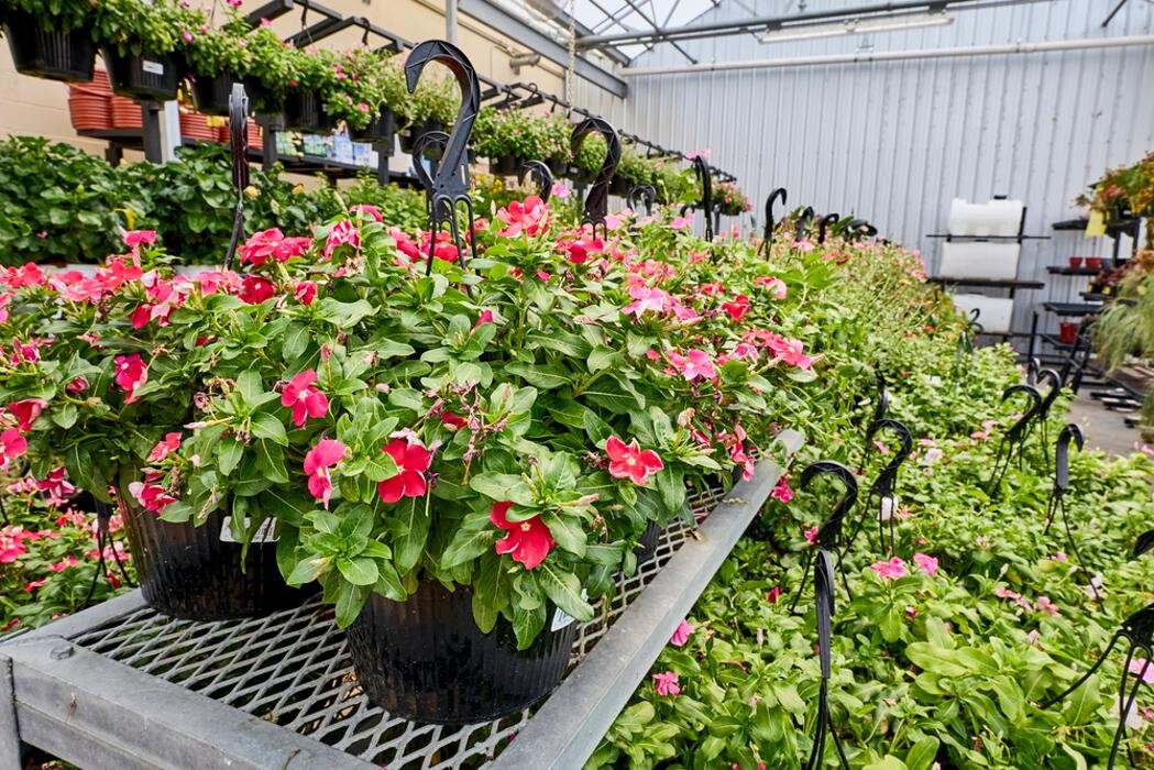 Images Tractor Supply Co.