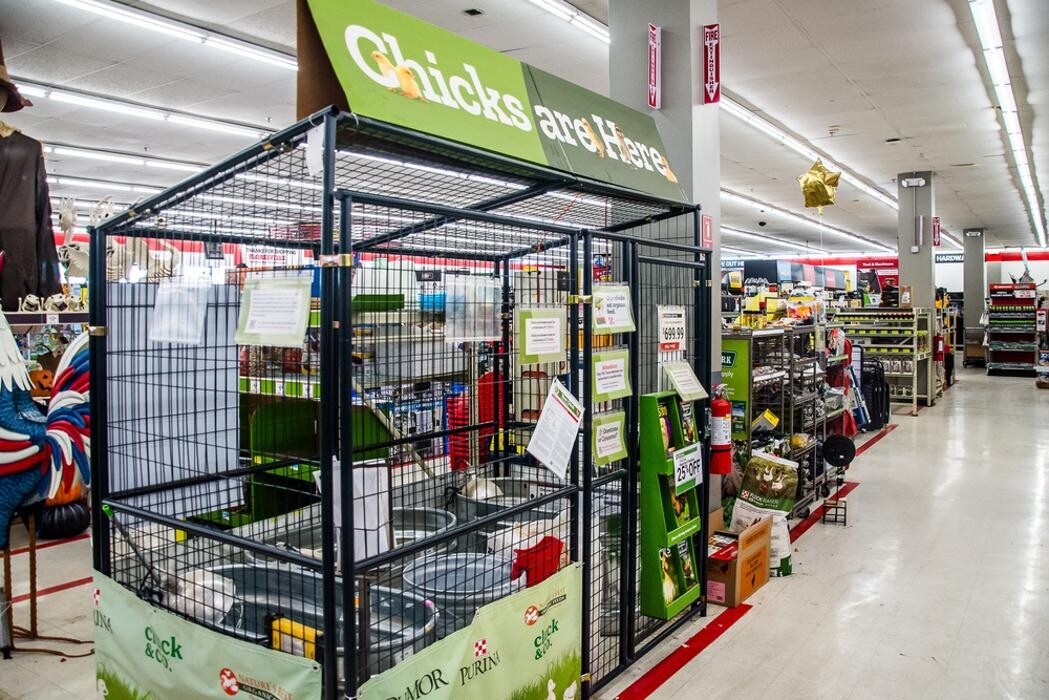 Images Tractor Supply Co.