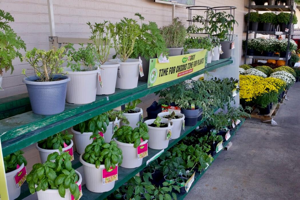 Images Tractor Supply Co.