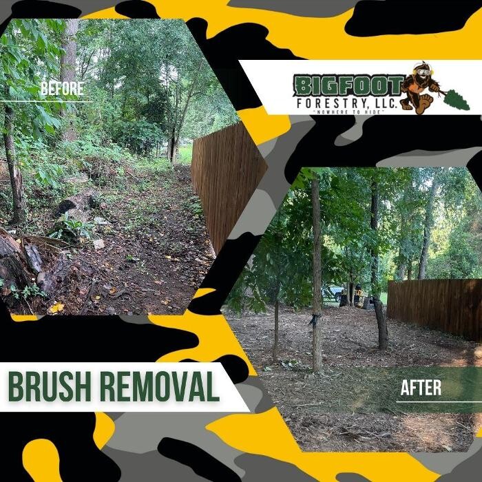 Images Bigfoot Forestry - Rock Hill