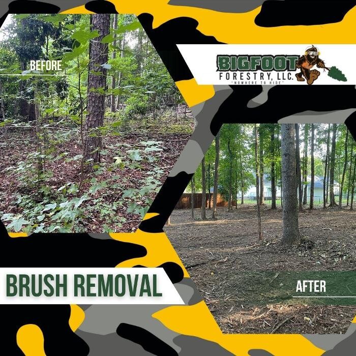 Images Bigfoot Forestry - Rock Hill