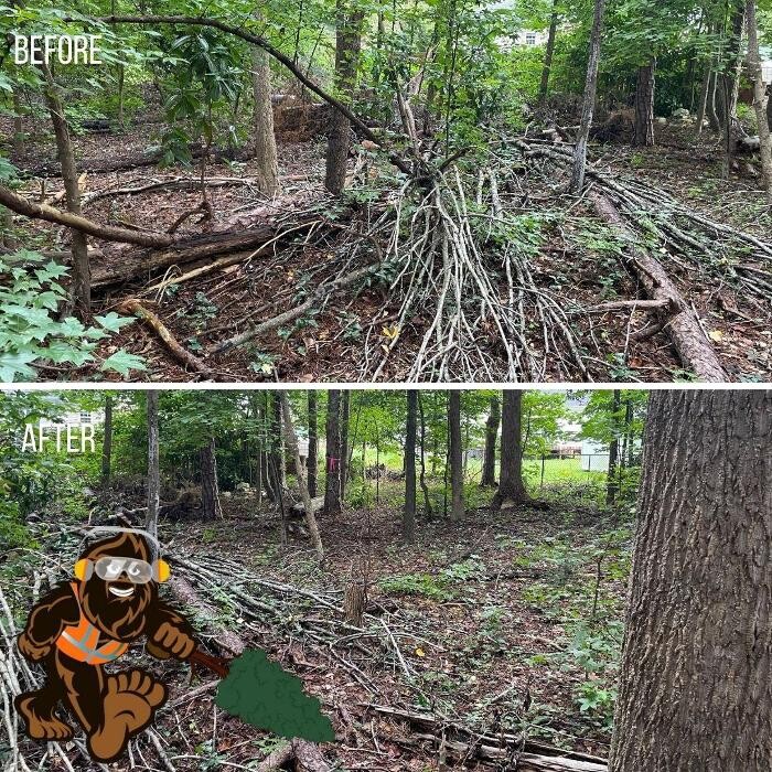 Images Bigfoot Forestry - Rock Hill