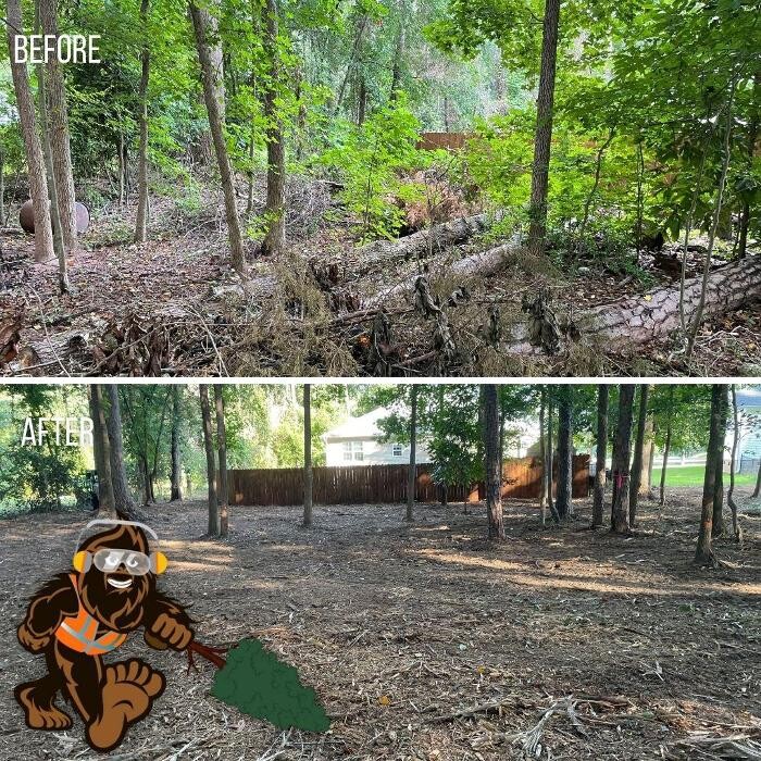 Images Bigfoot Forestry - Rock Hill
