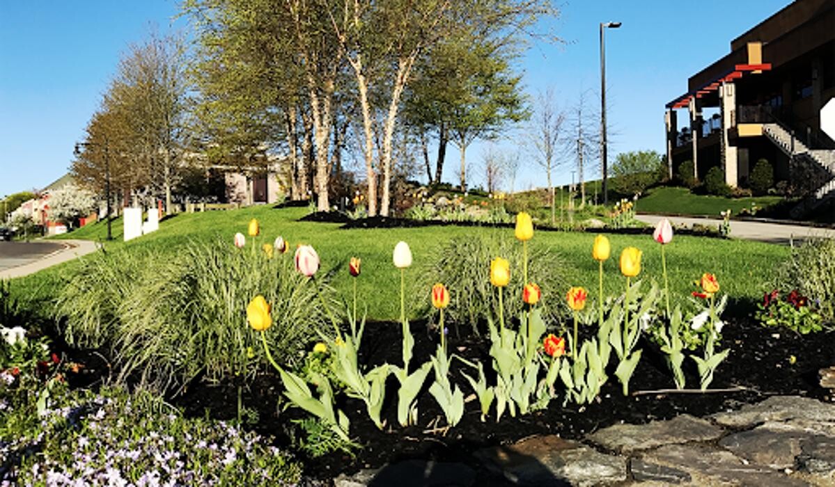 Images Cassidy Landscaping & Masonry