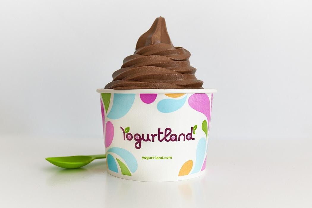 Images Yogurtland SJSU