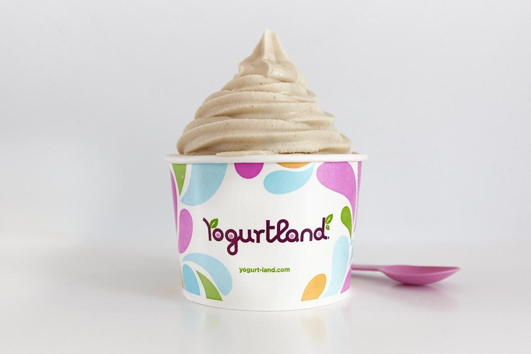 Images Yogurtland SJSU