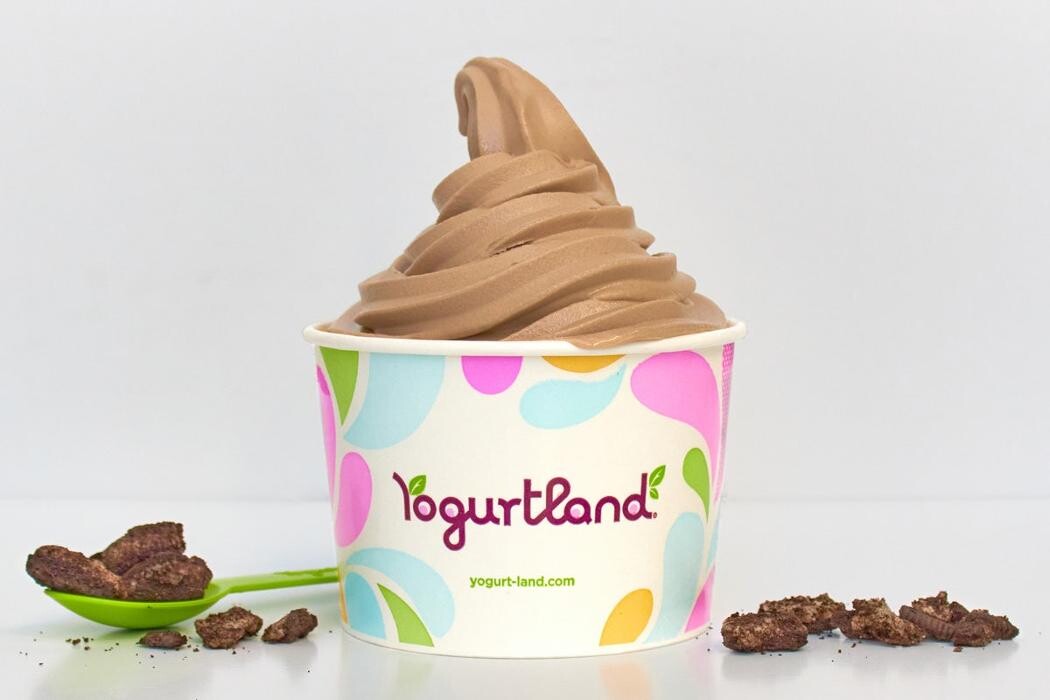 Images Yogurtland SJSU