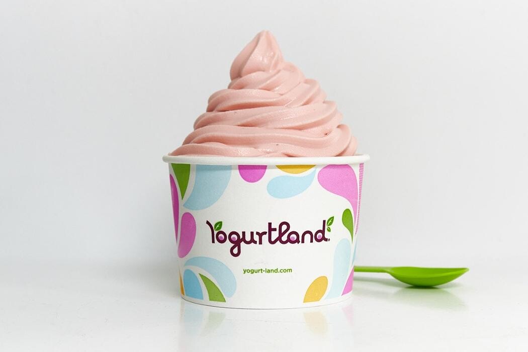 Images Yogurtland SJSU
