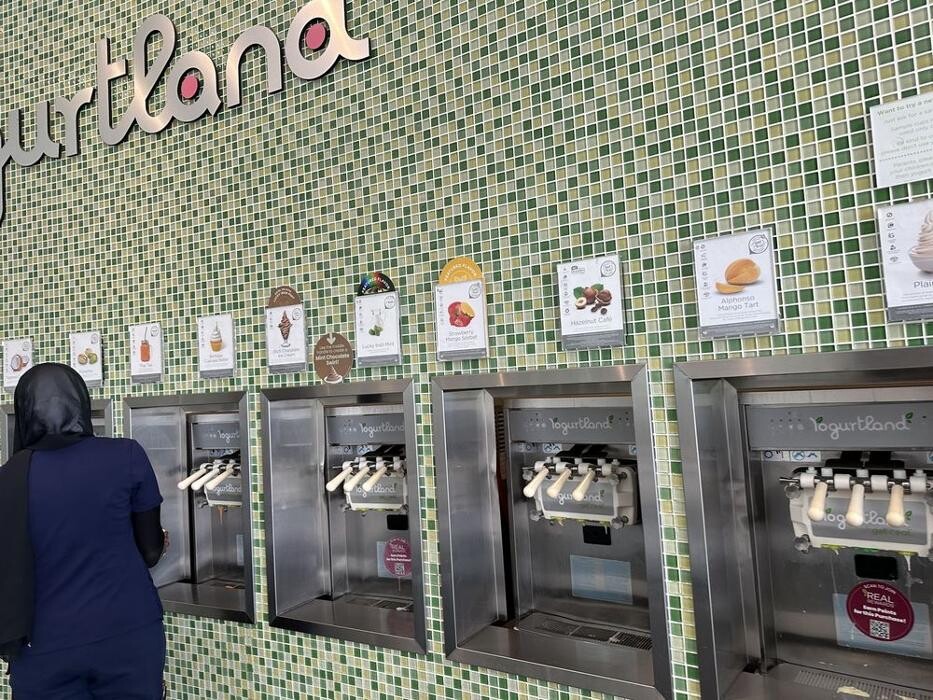 Images Yogurtland Genesee