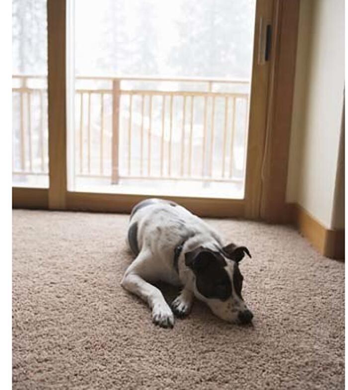 Images Phoenix Carpet and Upholstery Cleaning