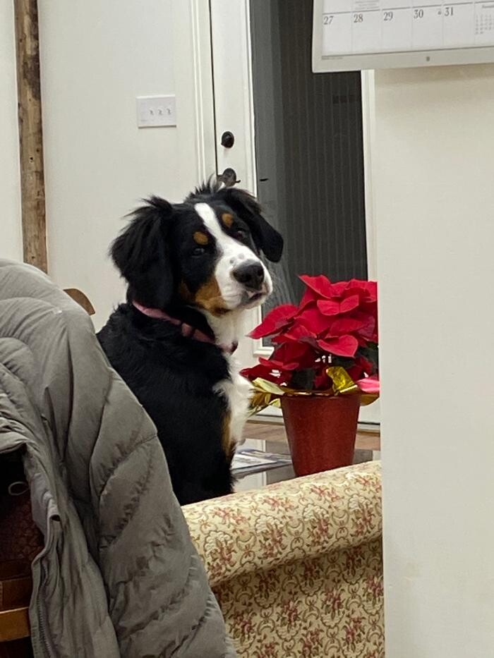 Images Traditions Real Estate