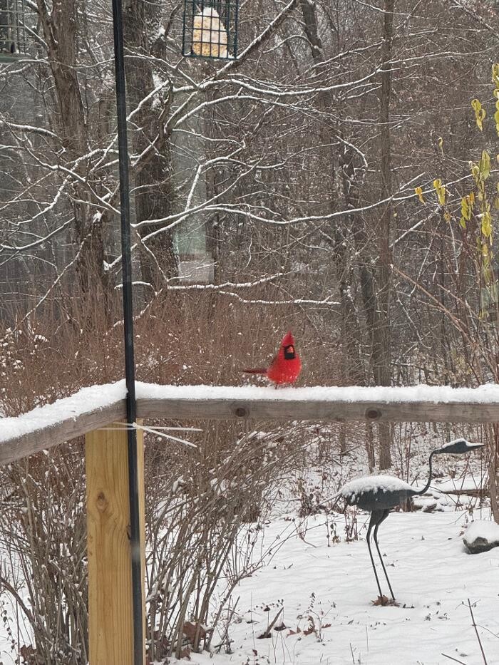 Images Traditions Real Estate