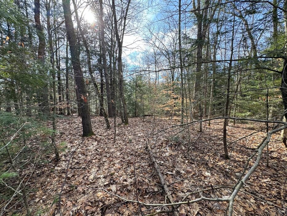 Images Traditions Real Estate