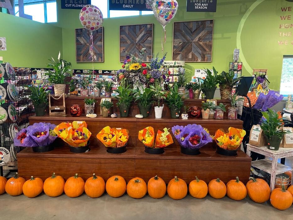 Images Holiday Market