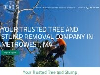 Website Screenshot Devo's Tree & Stump removal
