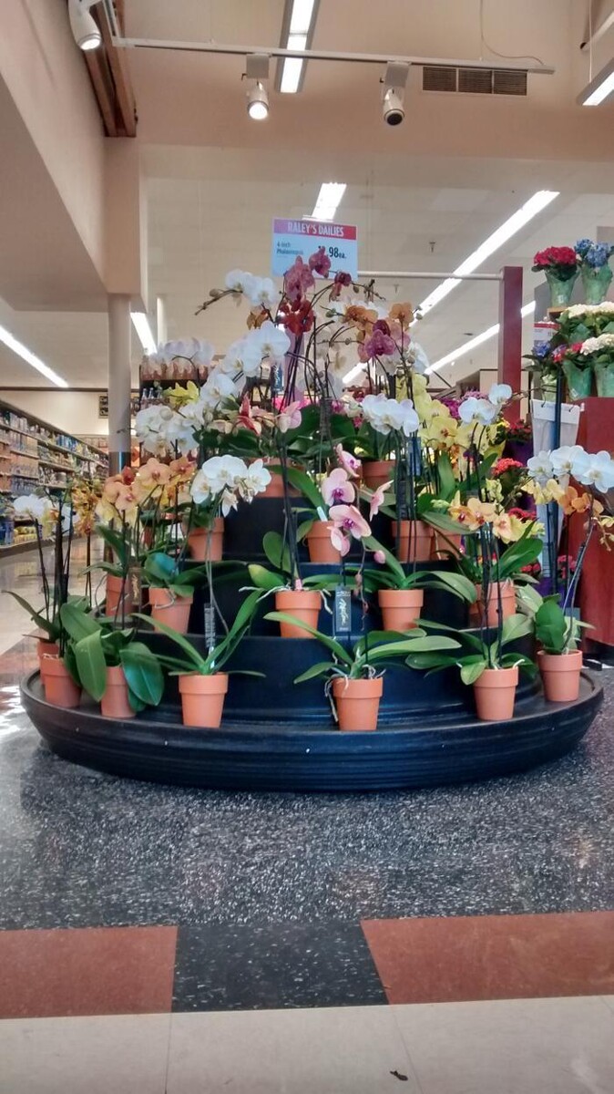Images Raley's