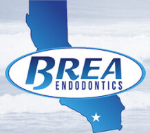Brea Endodontics Logo