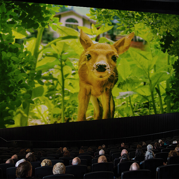 Images Giant Screen Experience