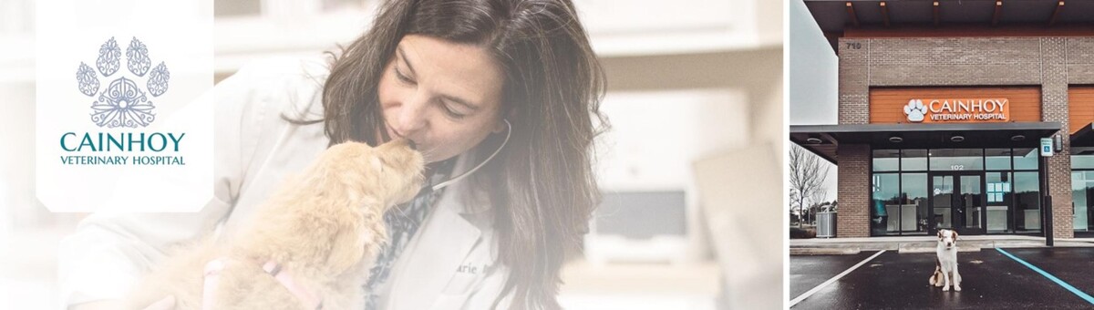 Images Cainhoy Veterinary Hospital