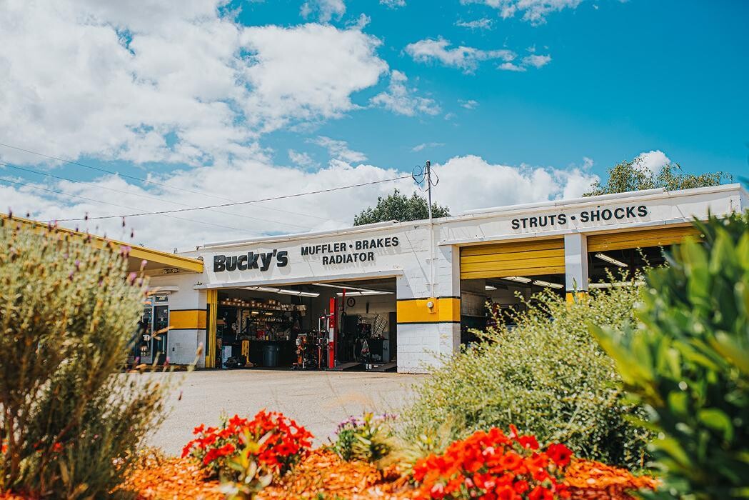 Images Bucky's Parkland