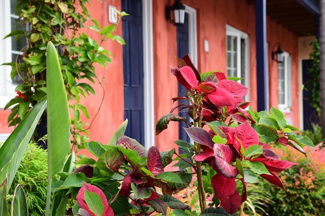 Images Cottage Residential Center