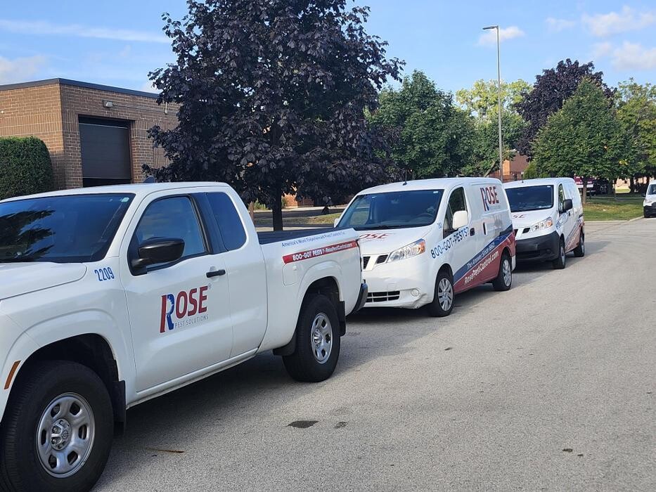 Images Rose Pest Solutions
