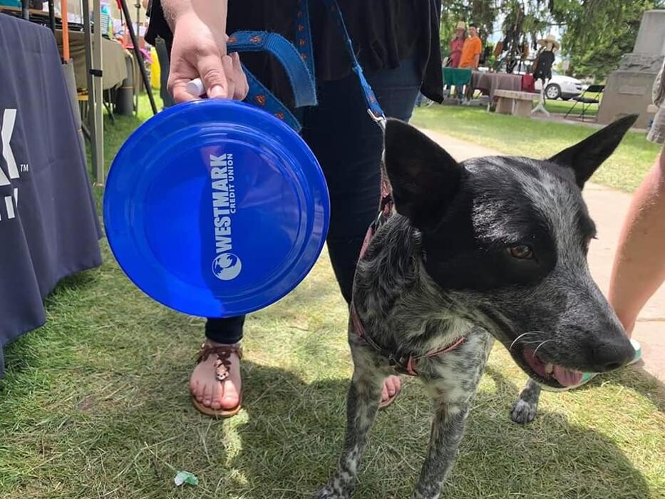 Images Westmark Credit Union