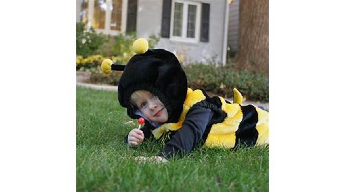 Images Rose Pest Solutions