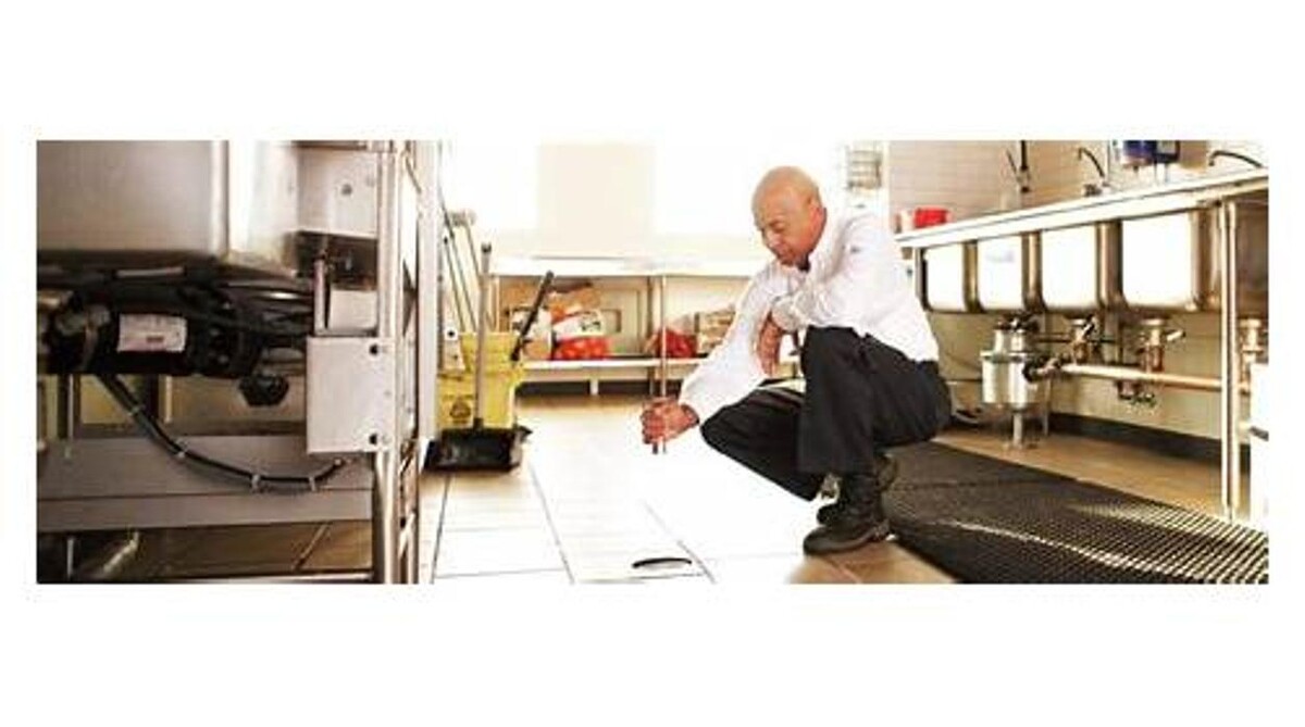 Images Rose Pest Solutions
