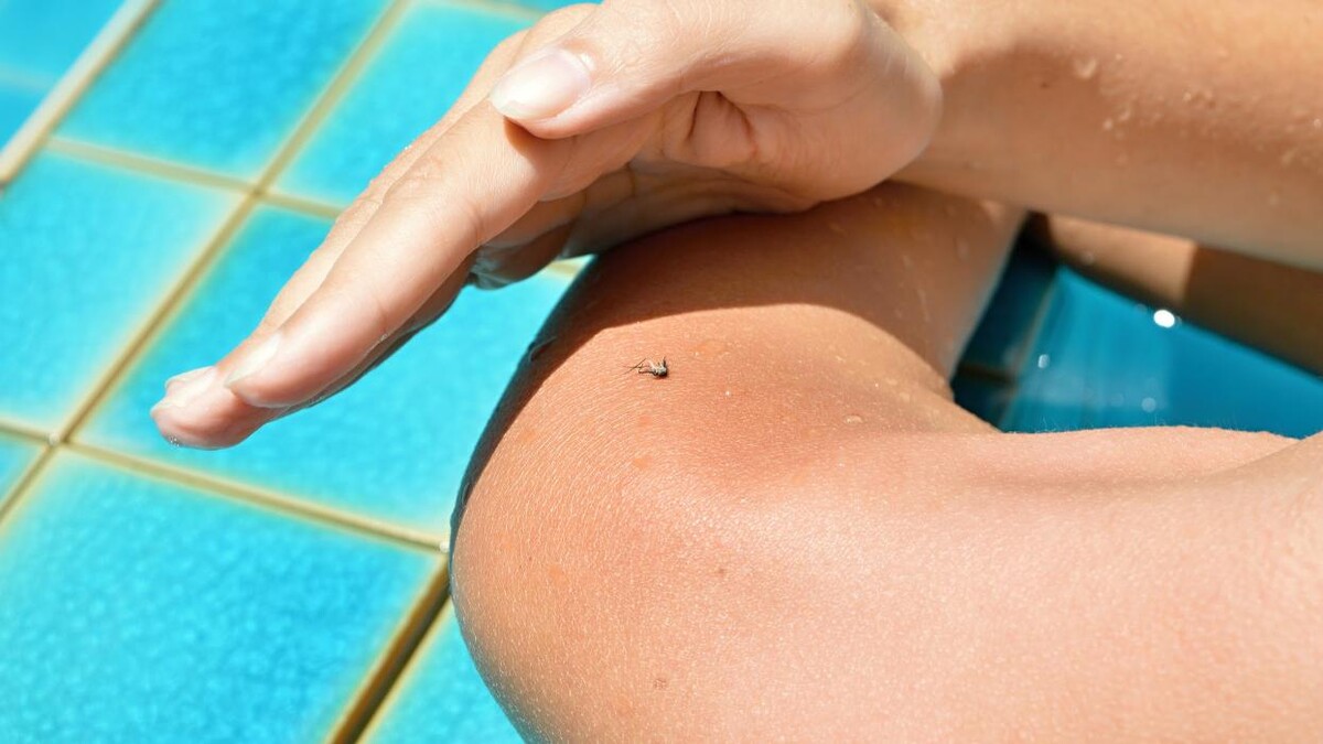Images Rose Pest Solutions