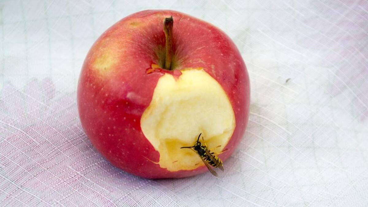 Images Rose Pest Solutions