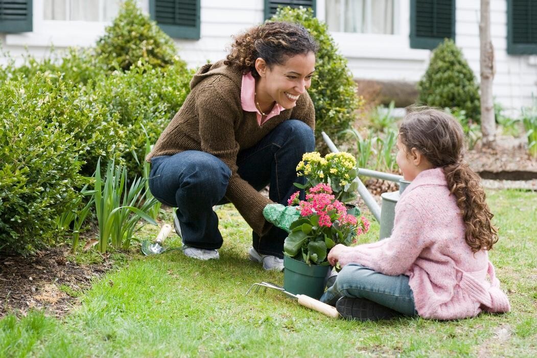 Images Rose Pest Solutions