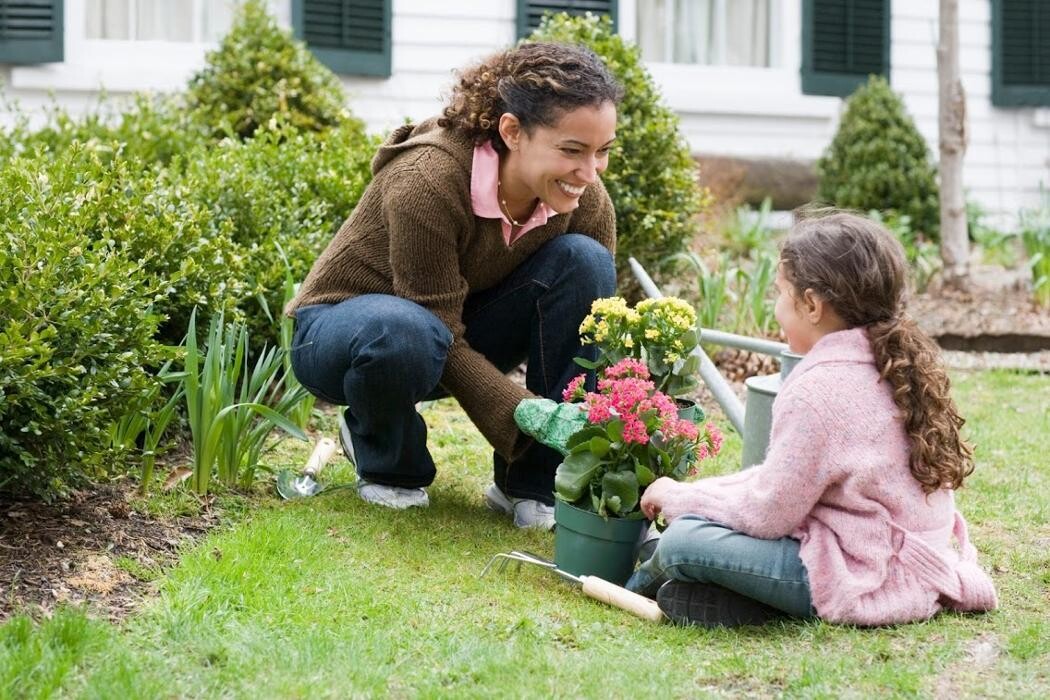 Images Rose Pest Solutions