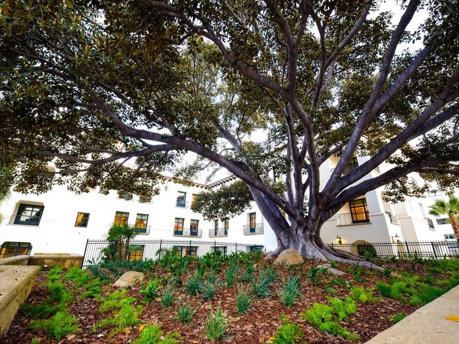 Images Santa Barbara Neuroscience Institute