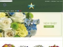Website Screenshot Villa Hermosa Plant Shop