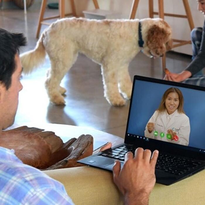 Cottage Virtual Care Logo