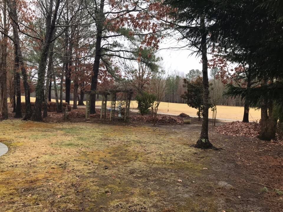 Images Kp Landscapes