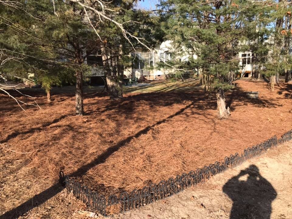 Images Kp Landscapes