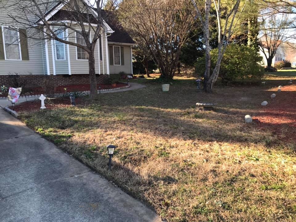 Images Kp Landscapes