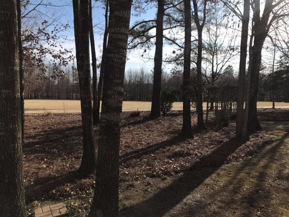 Images Kp Landscapes