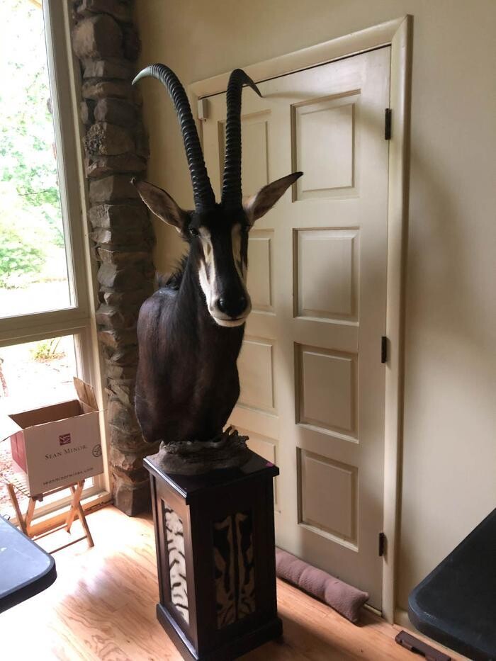 Images JR Brown Inc.