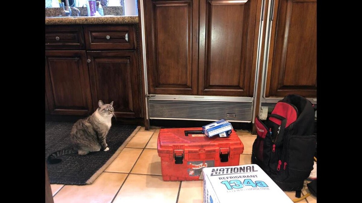 Images Progress Appliance Repair