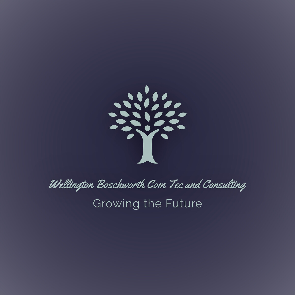 WBCTC1 Wellington Boschworth Commercial Technologies and Consulting Logo