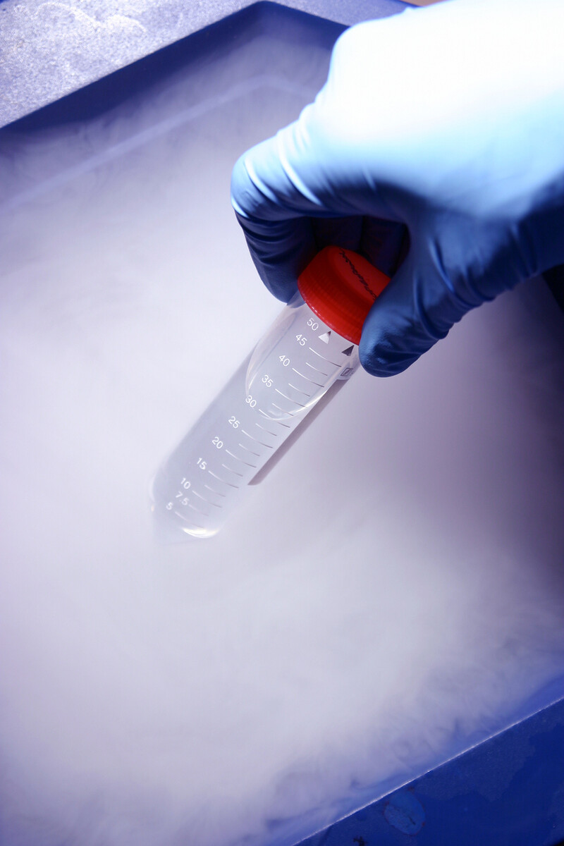 Images Noble Gas Solutions.