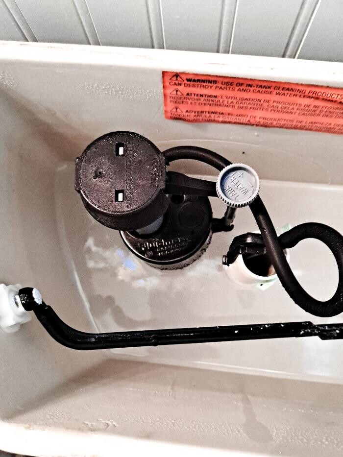 Images Bizy Bee Maintenance